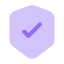protection feature icon