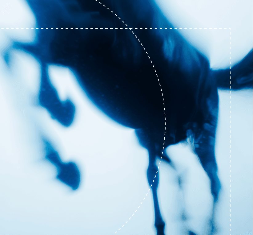 How Gatekeeper Press streamlined author support and achieved a 91% resolution rate with Helply