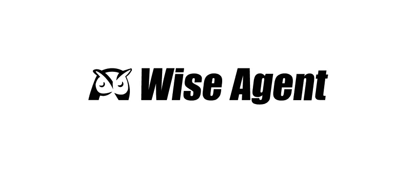 wise-agent